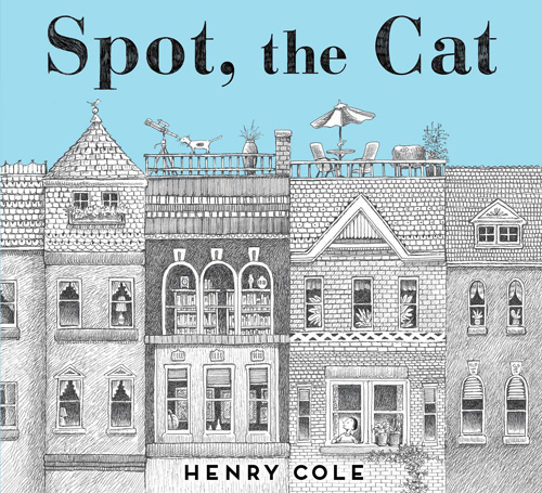 spot-the-cat