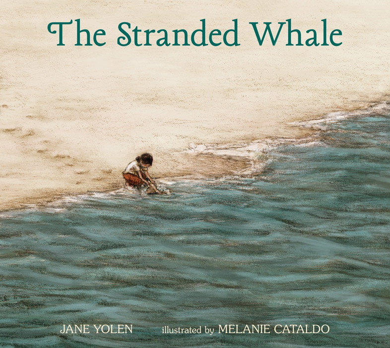 stranded-whaleCWP